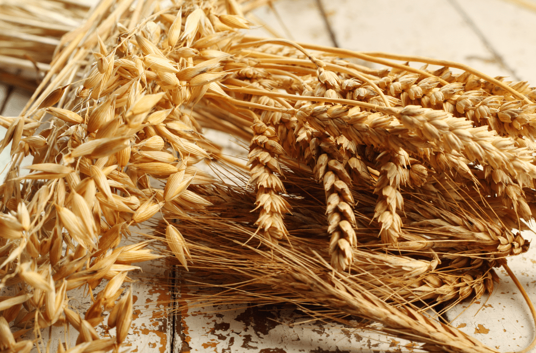 A Guide To Using Hydrolysed Proteins