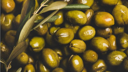 Hot process olive oil soap recipe UK