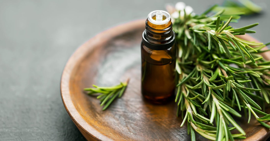 Is Rosemary oil good for hair growth?